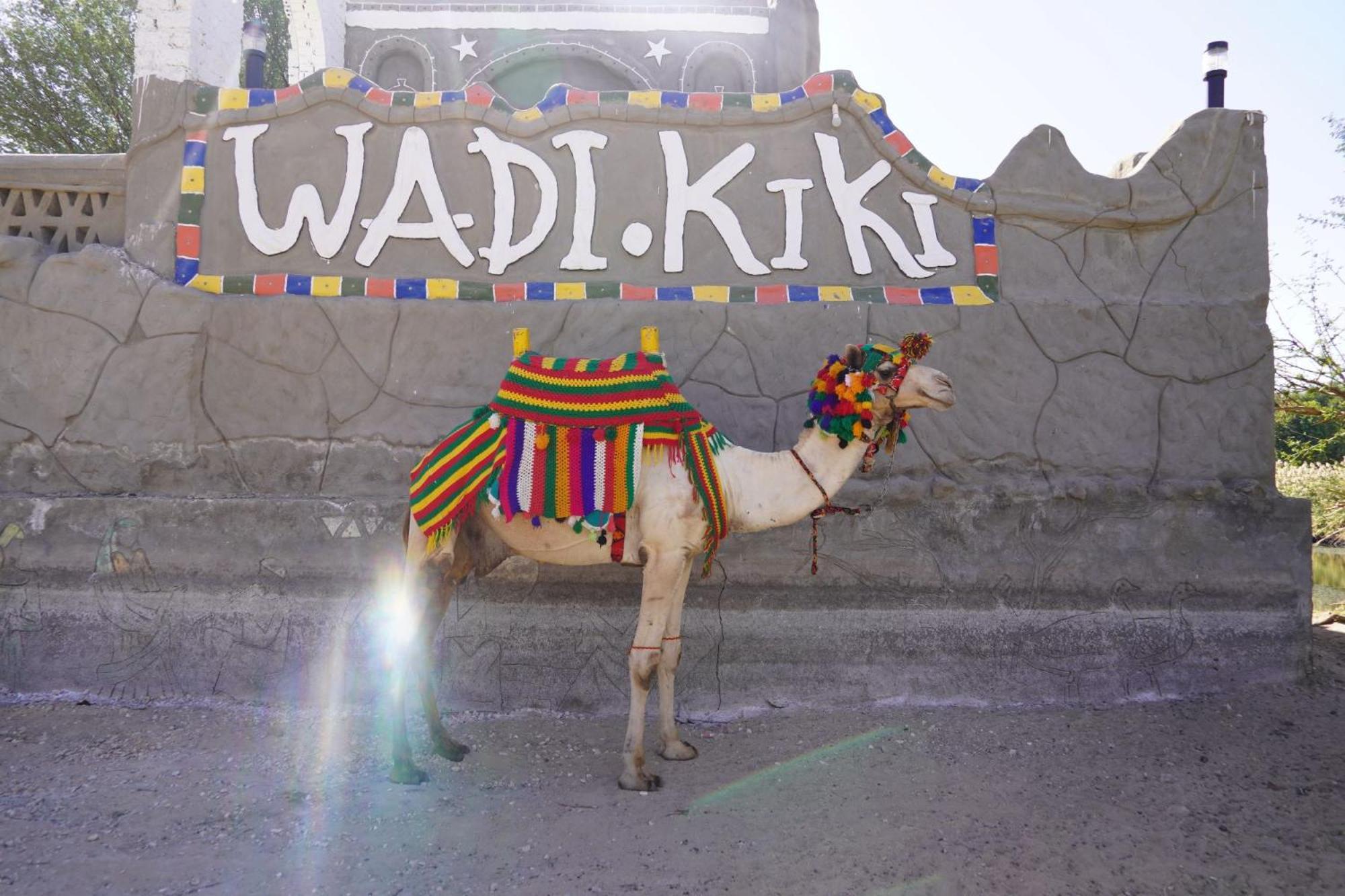 أسوان Artika Wadi Kiki Hotel المظهر الخارجي الصورة
